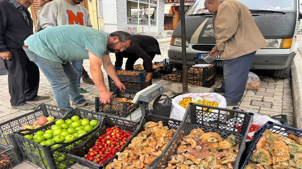 Taşköprü Kanlıca Mantarı 150 Lina (4)