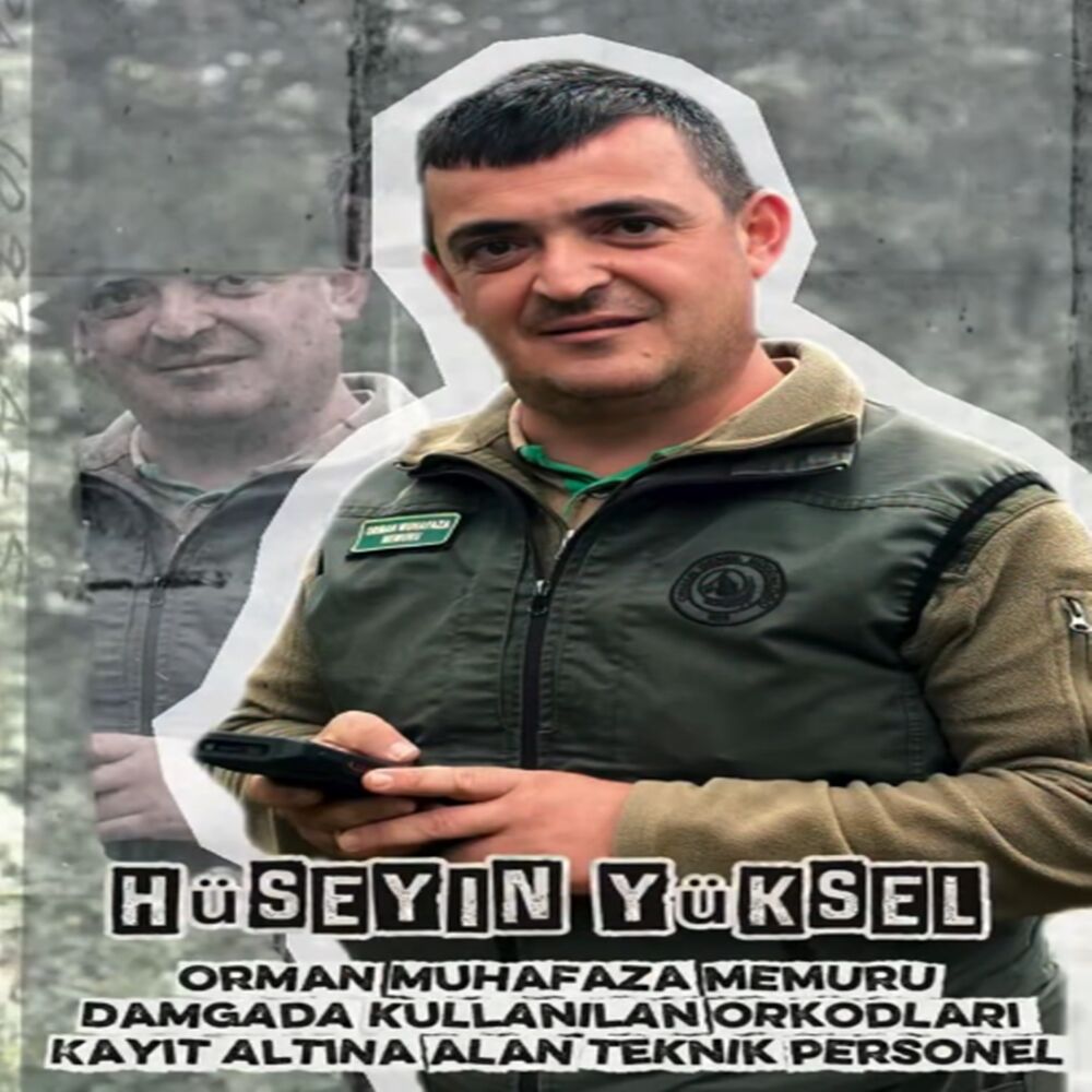 Taşköprü Orman Iş Başında Orman (3)