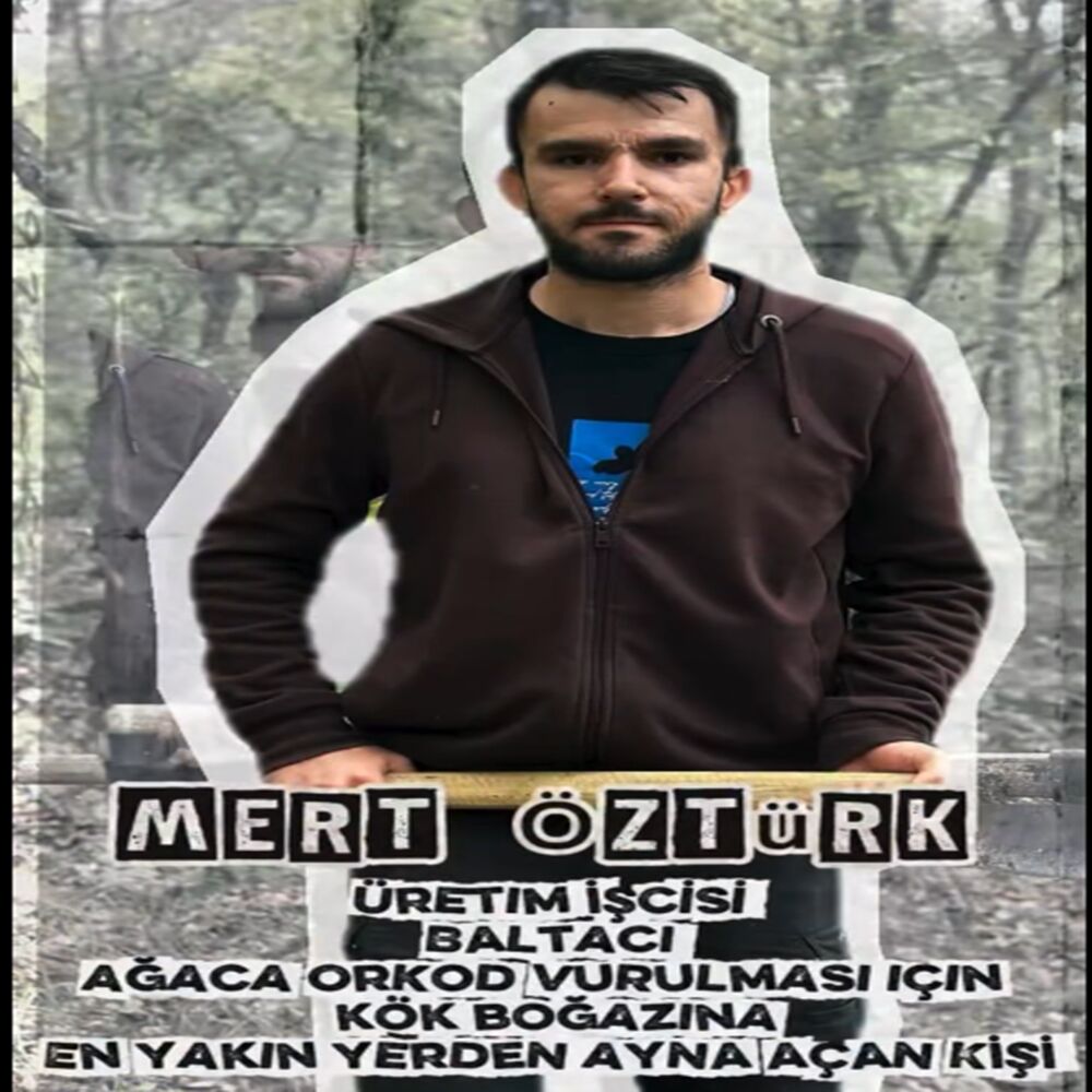 Taşköprü Orman Iş Başında Orman (5)