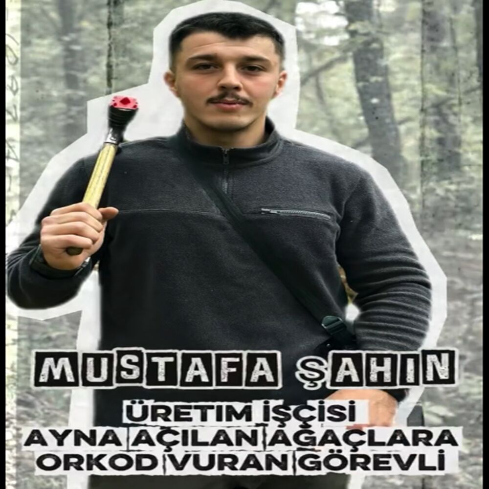 Taşköprü Orman Iş Başında Orman (6)