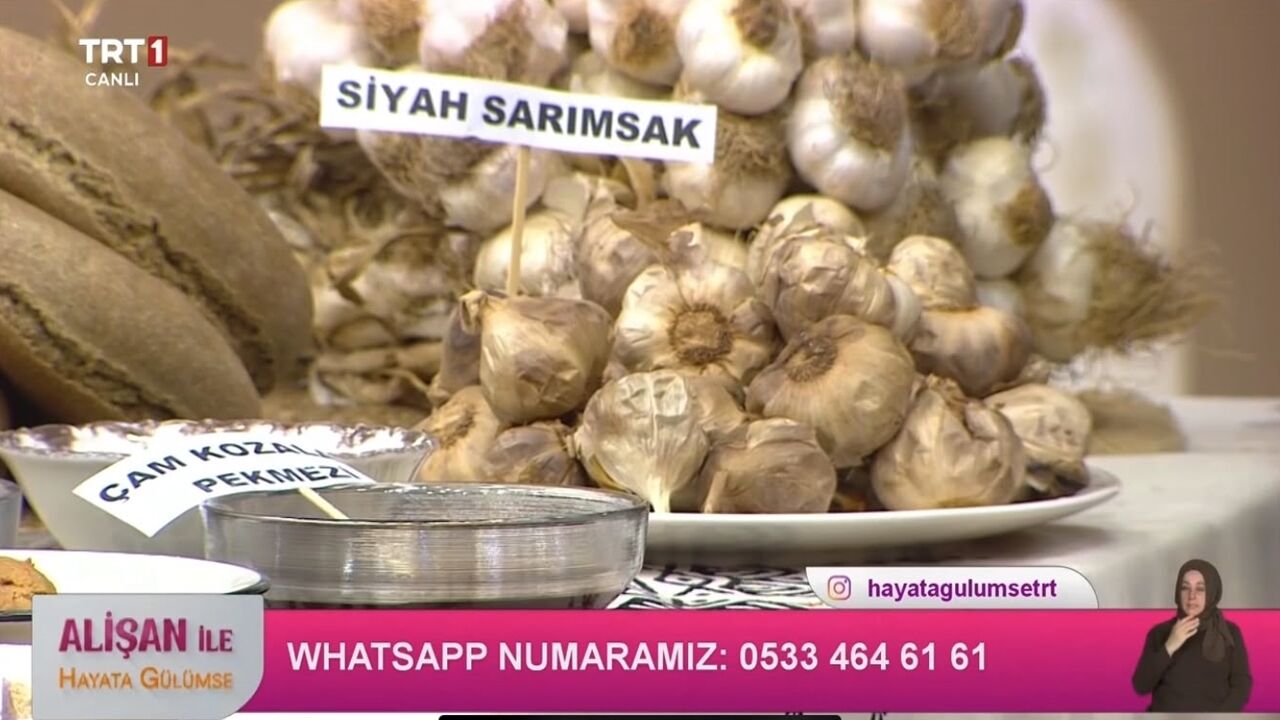 Taşköprü Sarımsağı Alişan Program (1)