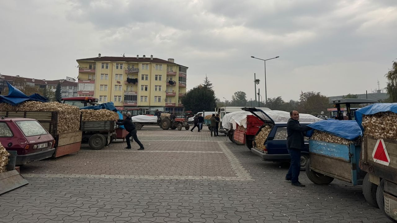 Taşköprü Sarımsak Pazarı 27 Ekim (2)