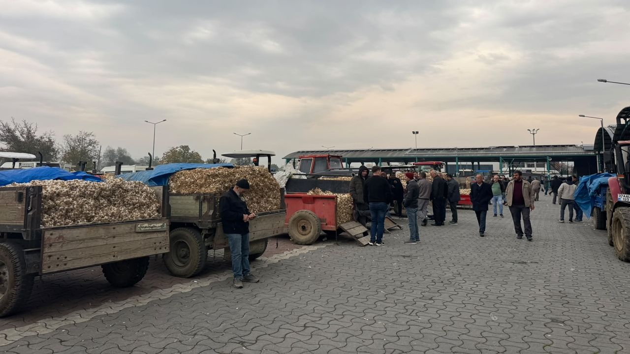 Taşköprü Sarımsak Pazarı 27 Ekim (5)