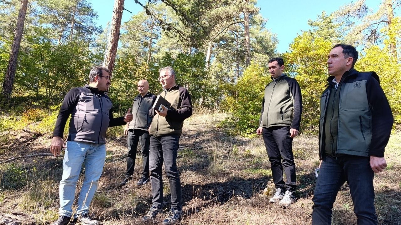 Taşköprü’de 2027 Yılı Orman Çalışmaları Yerinde Incelendi (1)