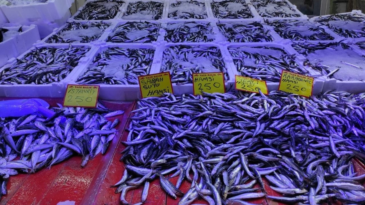 Taşköprü’de Balığa Yoğun Ilgi (1)