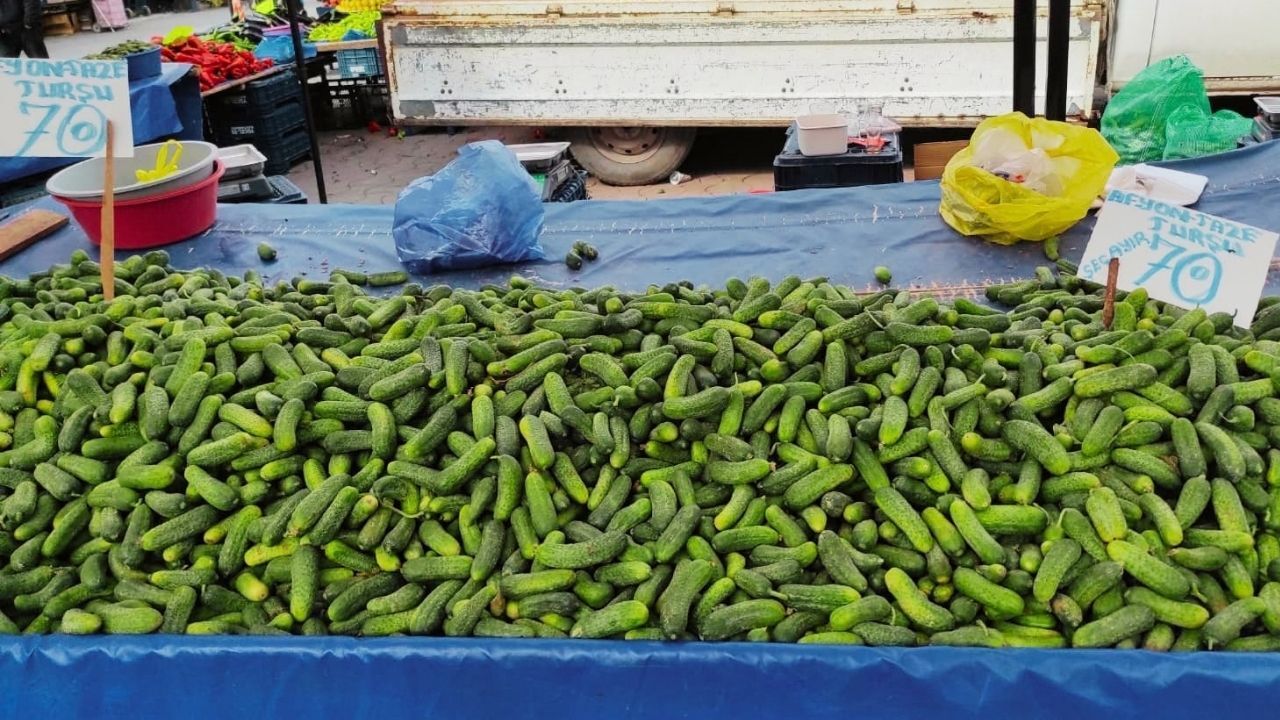 Taşköprü'de Turşu Mesaisi Başladı (2)