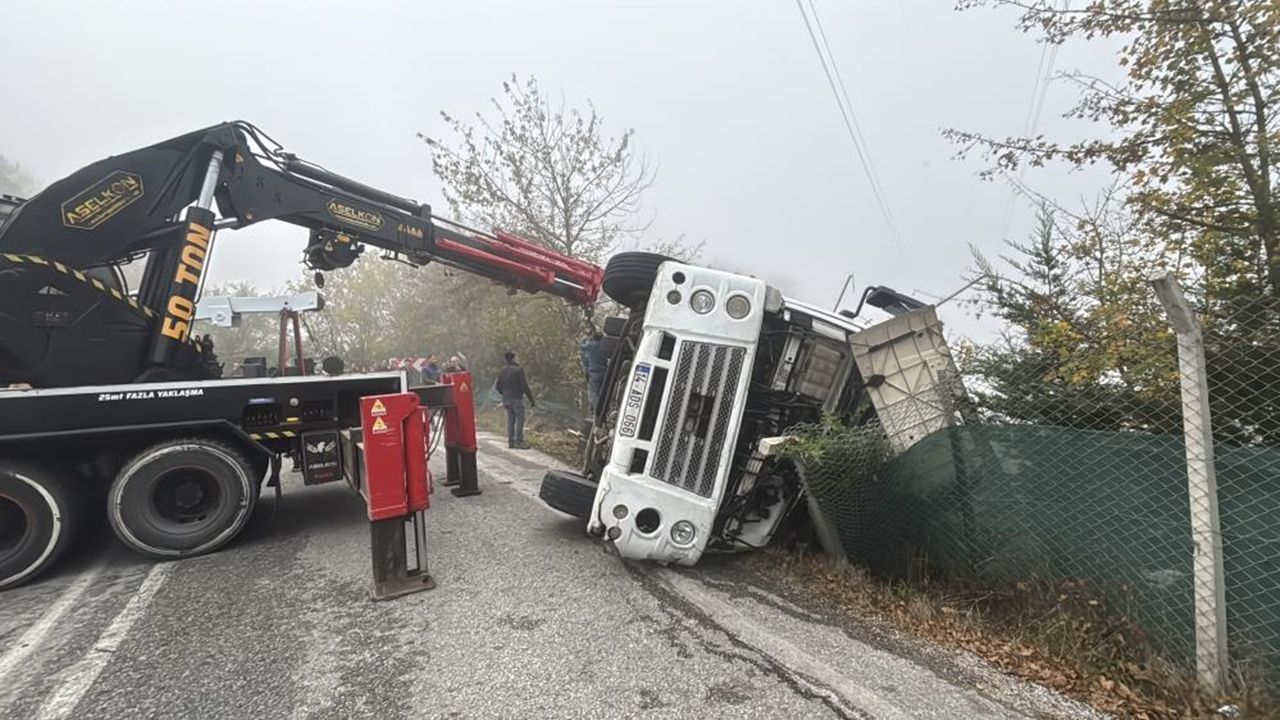 Tavuklar Telef Oldu (4)