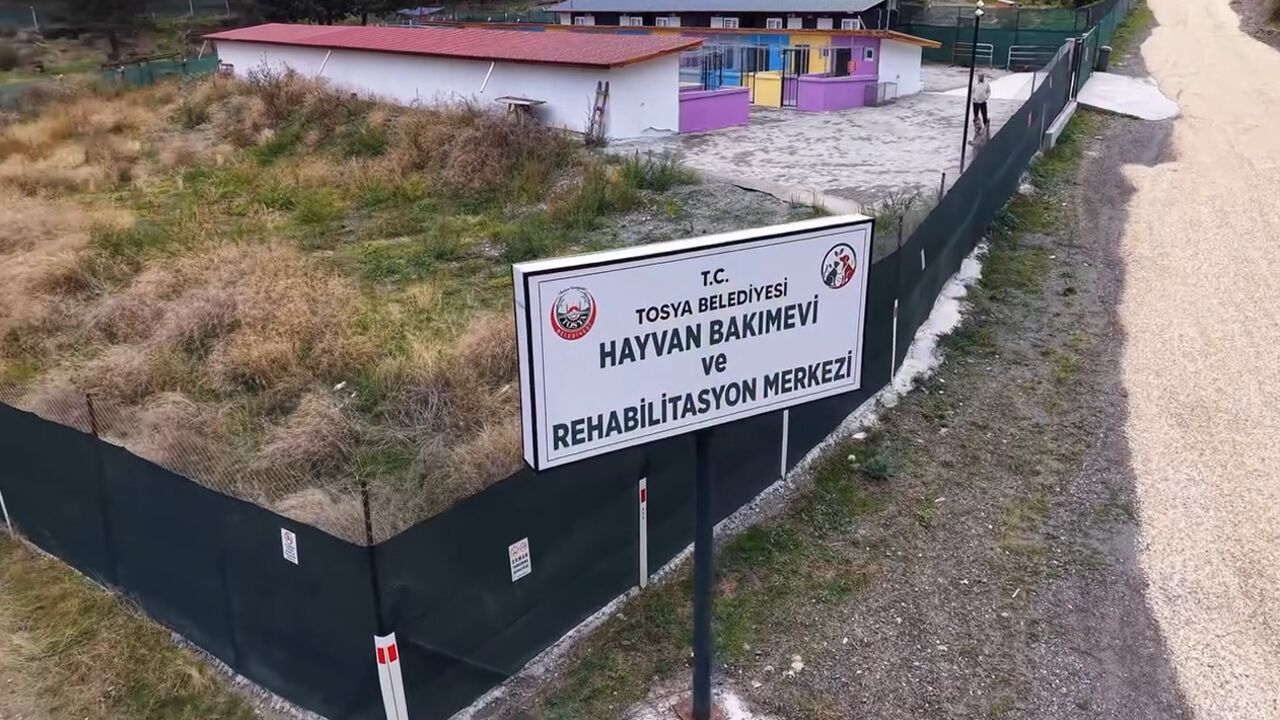 Tosya Hayvan Bakın Evi (2)