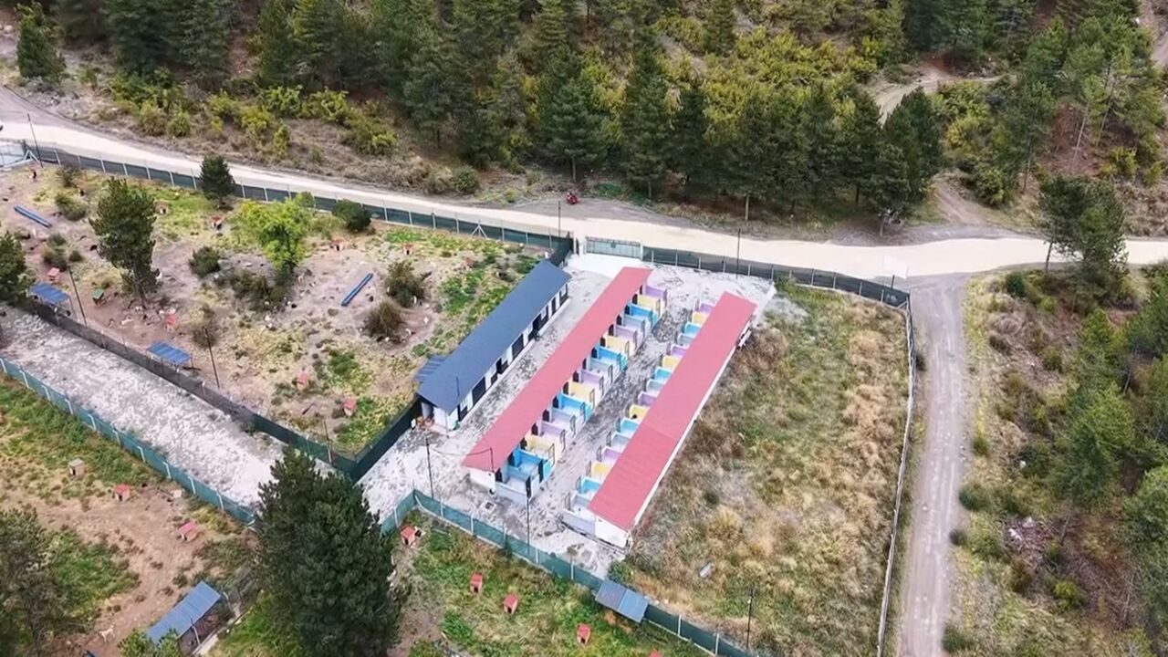 Tosya Hayvan Bakın Evi (3)