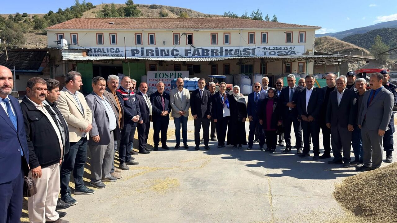 Tosya Pirinç Hasat Serap Çeltik (2)