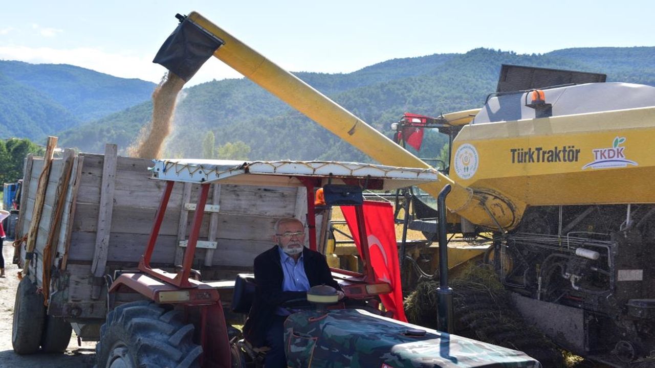 Tosya Sarıkılçık Pirinç (4)